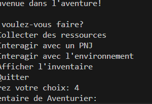 Chroniques d'Aventure Textuelle (Concept)