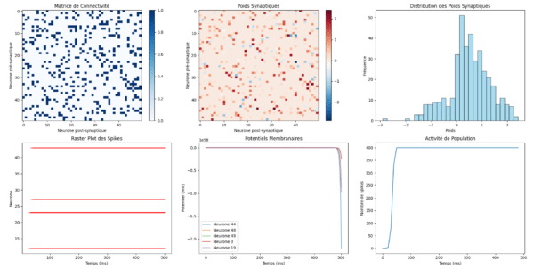 neural_network_simulator