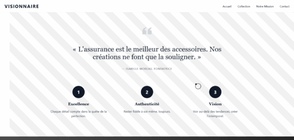 Visionnaire - Le Premium