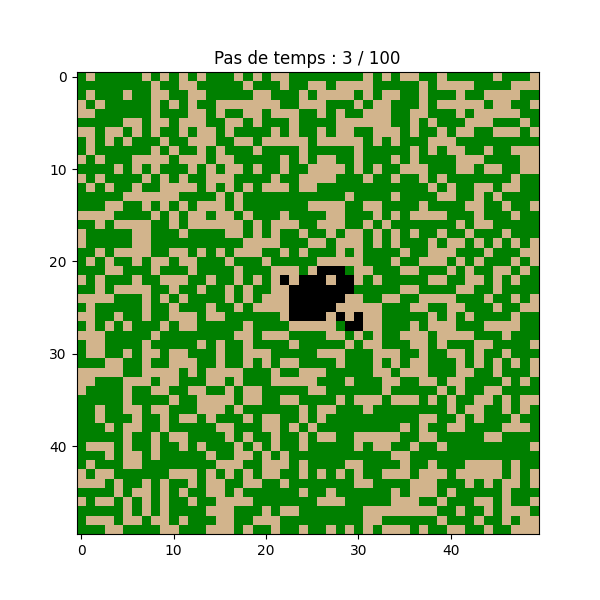 Simulateurs Physiques & Algorithmes de Propagation
