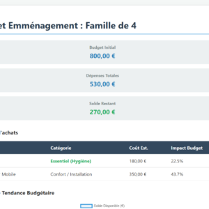 Suivi_Budget_Emmenagement_Famille