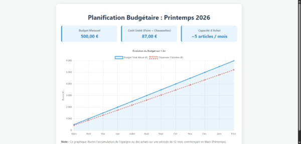 Suivi_Budget_Sport_Jeunes_Actifs