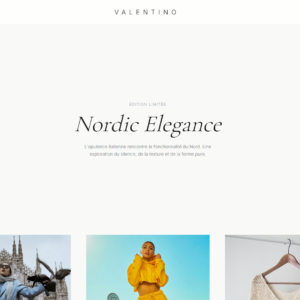 Nordic Elegance - Valentino Concept