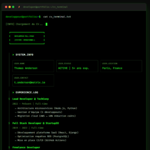 cv_developpeur_terminal_style