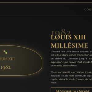 deepseek_html_20260313_eb71d1