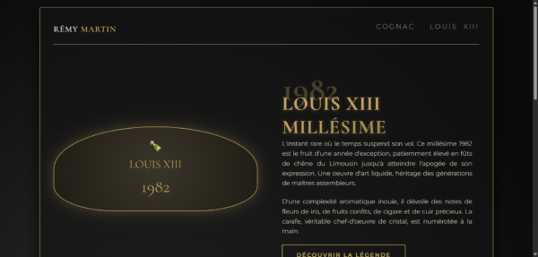 deepseek_html_20260313_eb71d1