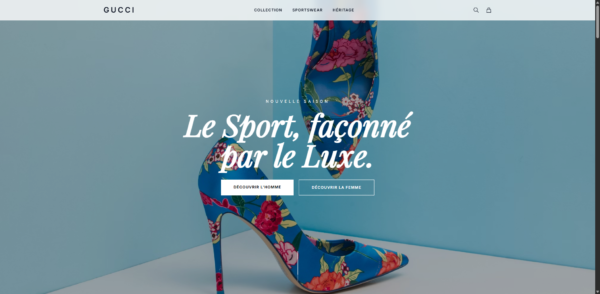 gucci_sportswear_premium_collection