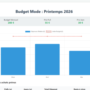 Suivi Budget Mode Jeunes Actifs