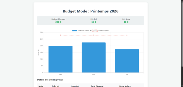 Suivi Budget Mode Jeunes Actifs